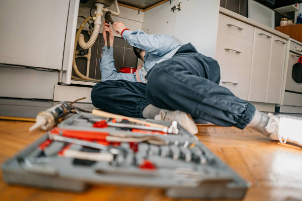 Best Toilet Repair Services  in Brookston, IN